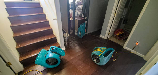 Best Carpet water damage restoration  in Schertz, TX