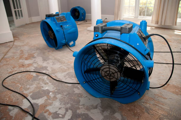 Best Water damage cleanup near me  in Schertz, TX