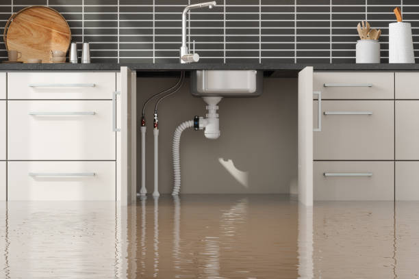 Best Fire Damage Restoration  in Schertz, TX
