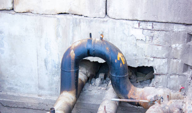 Best Flood damage cleanup  in Schertz, TX