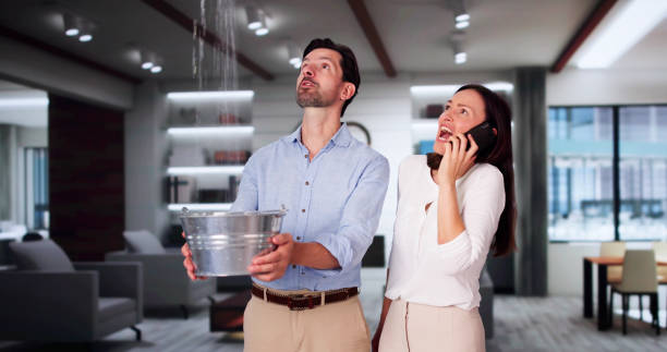 Best Water damage contractors near me  in Schertz, TX