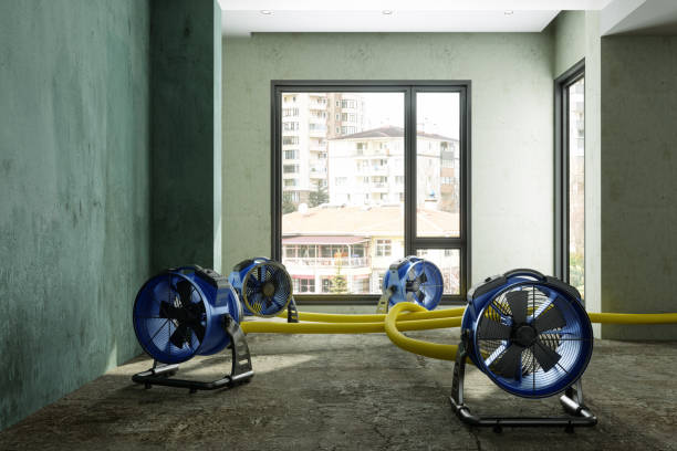 Best Water damage restoration near me  in Schertz, TX